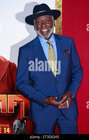 **FILE PHOTO** Richard Roundtree Has Passed Away. NEW YORK, NY - JUNE 10: Richard Roundtree at SHAFT Premiere at AMC Lincoln Square on June 10, 2019 in New York City. Copyright: xDiegoxCorredor/MediaPunchx Stock Photo