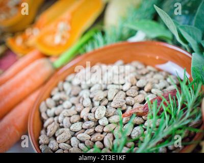 Beautiful ingredients array of colorful vegetarian ingredients with pinto bean legume protein for fall, Thanksgiving, or year round healthy diet. Stock Photo