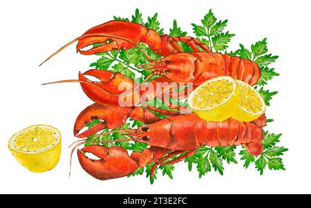 Watercolor seafood illustration, red lobster isolated on white background. Hand drawn illustration in realistic style. Stock Photo