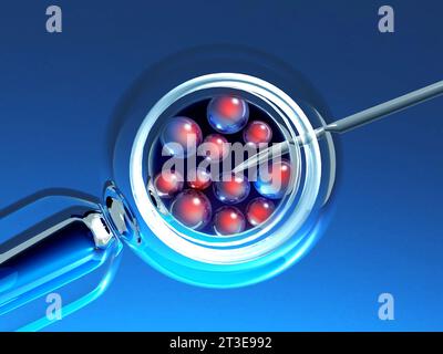 IVF. In vitro fertilization. 3d render Stock Photo