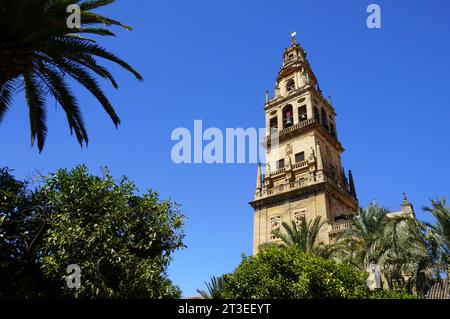 Spain, Andalusia, Cordoba: bell tower of the Mosque–Cathedral of Córdoba (The Mezquita) registered as a UNESCO World Heritage Site viewed from the Pat Stock Photo