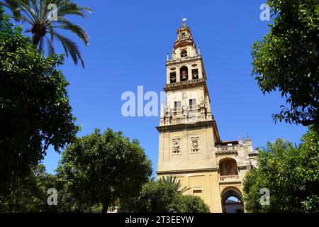 Spain, Andalusia, Cordoba: bell tower of the Mosque–Cathedral of Córdoba (The Mezquita) registered as a UNESCO World Heritage Site viewed from the Pat Stock Photo