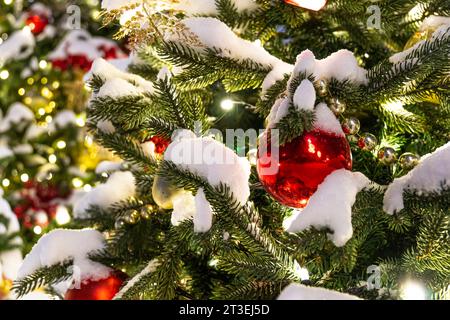 Christmas tree toy, white ball on blurred background of branches of Christmas tree. Snow caps on branches of tree. Close-up. Real winter in garden. Se Stock Photo