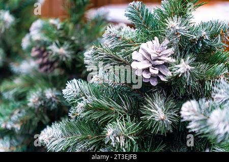 Pine Cone And Branches. a cone tree on a spruce branch close-up decorations for the new year and Christmas Stock Photo