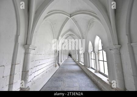 Neuville-sous-Montreuil (northern France), July 20, 2021: Chartreuse Notre-Dame des Pres, Carthusian monastery (Charterhouse). Building under restorat Stock Photo