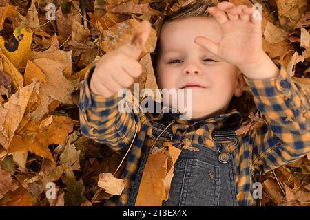 Autumn concept. A small, handsome and emotional boy in a plaid shirt and overalls lies cheerfully in the autumn yellow leaves in the park. Soft focus. Stock Photo