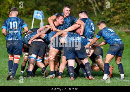 Trebanos, Wales. 21 October 2023. A Trebanos maul during the WRU Admiral Championship West game between Trebanos and Maesteg Quins at The Park in Trebanos, Wales, UK on 21 October 2023. Credit: Duncan Thomas/Majestic Media. Stock Photo