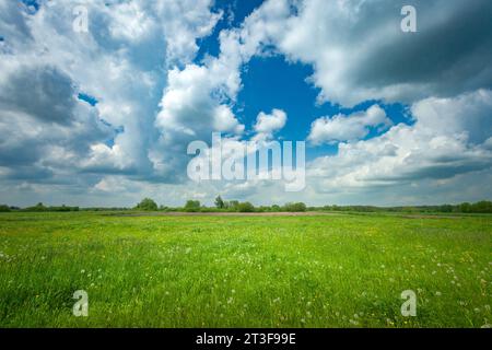 Gray and white clouds in the sky over a rural green meadow, May day Stock Photo