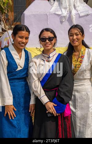 Nepal, Kathmandu, Lhosar, Tibetan New Year celebration Stock Photo