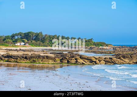 France, Vendée, Ile d'Yeu, the dune coast (northeast coast), Marais Salé beach and Sapins beach in the background Stock Photo