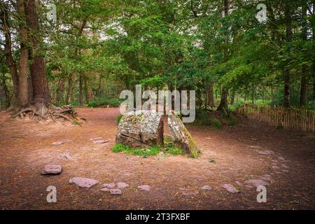 France, Ille et Vilaine, Broceliande Country, Paimpont, remains of Merlin's tomb in the Broceliande Forest Stock Photo