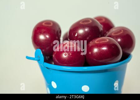 Small blue bucket full of red cherries against a light background. Close-up. Stock Photo