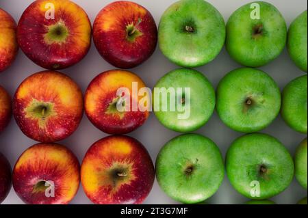Pattern group of mixed green and red apples. Organic fresh fruits and image of fall apple harvest Stock Photo