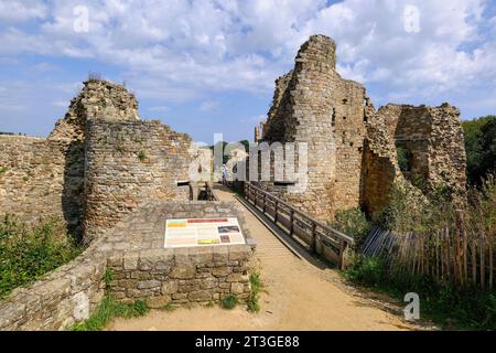 France, Cotes d'Armor, Crehen, Saint Cast le Guildo, Guildo castle in the Arguenon bay Stock Photo