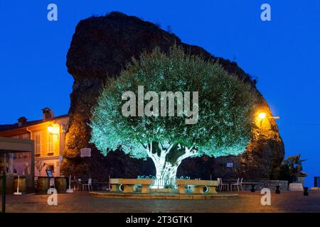 France, Alpes Maritimes, the hilltop village of Roquebrune Cap Martin, Place des 2 freres (2 brothers square), olive tree in the middle of the square Stock Photo
