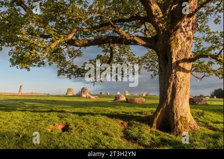 Near Penrith, Cumbria, UK. Long Meg and Her Daughters, a Bronze Age stone circle, seen here at sunrise Stock Photo