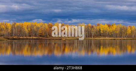 A striking fall landscape in northern Wisconsin. Stock Photo