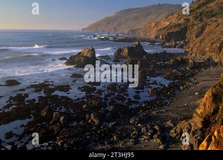 Rocky coast, Westport-Union Landing State Park, California Stock Photo