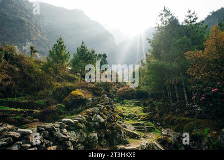 Nepalese village in the Himalayas. High quality photo Stock Photo