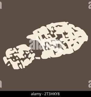 Larch elements for design. Larix decidua seed. Hand drawn vector botanical illustration Stock Vector