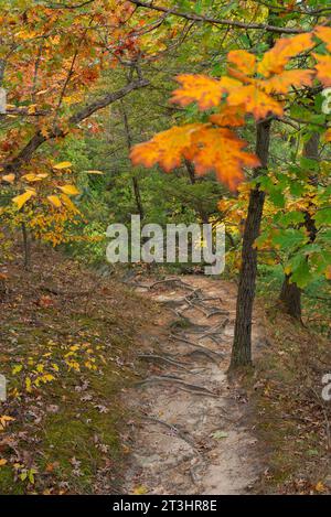 Autumn landscape on the Bluff Trail at Starved Rock State Park, Illinois, USA. Stock Photo