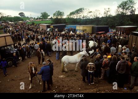 Horse dealers and gypsies gather to buy and sell horses at the annual Appleby Horse Fair. The best get sold on to horse loving families while many of the rest make their way to Europe and in particular France as viande chevaline which is a significant part of their culinary tradition. Appleby in Westmorland gypsy horse fair Cumbria, England June 1985 1980s UK Charter fair granted by King James II 1685 HOMER SYKES Stock Photo