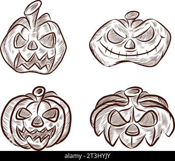 sketch  of Set pumpkin on white background. vector illustration Stock Vector