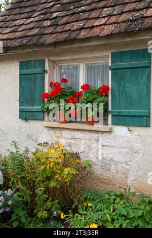 Window and green shutters of an old house with flower pots filled with red geranium flowers Stock Photo