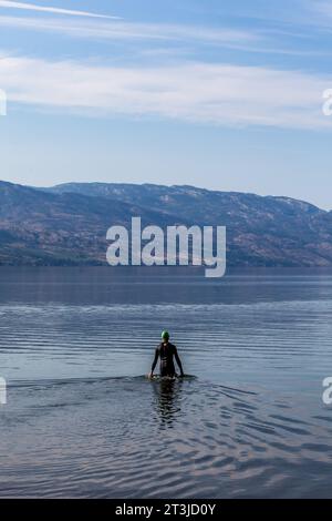 unidentifiable swimmer dressed in a wet suit going into the mountain lake, Kelowna British Columbia, Canada Stock Photo