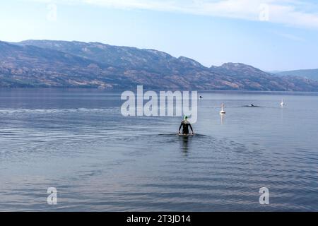 unidentifiable swimmer dressed in a wet suit going into the mountain lake, Kelowna British Columbia, Canada Stock Photo