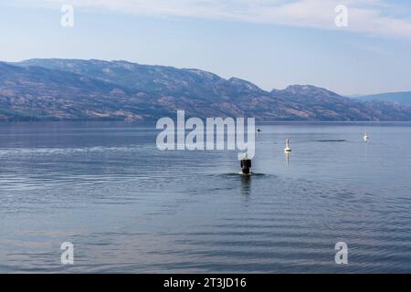 unidentifiable swimmer dressed in a wet suit going into the mountain lake, Kelowna British Columbia, Canada Stock Photo