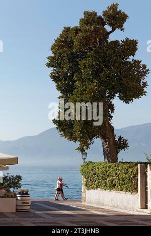 Couple walking in step on the lakeside promenade, view of lake and magnolia tree, Torri del Benaco, Lake Garda east shore, province of Verona, Italy Stock Photo