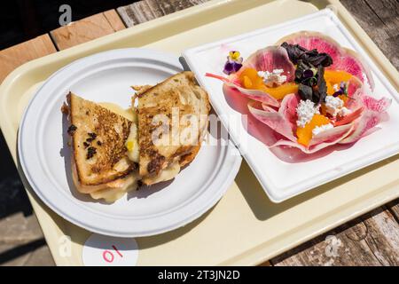 Take away tray with grilled cheese sandwich and watermelon radish salad Stock Photo