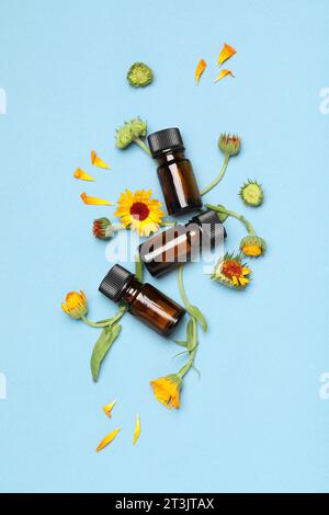 Bottles of essential oils and beautiful calendula flowers on light blue background, flat lay Stock Photo