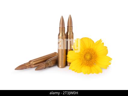 Bullets and beautiful flower isolated on white Stock Photo