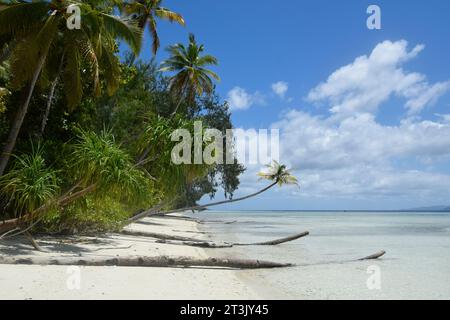 Tropical beach at the island Kri at the Raja Ampat archipelago (Indonesia) Stock Photo