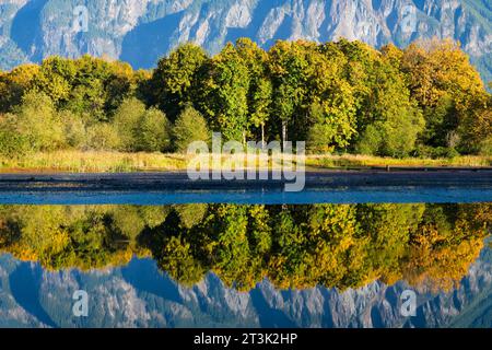 Fall color trees reflect in a smooth pond of water with mountain background Stock Photo