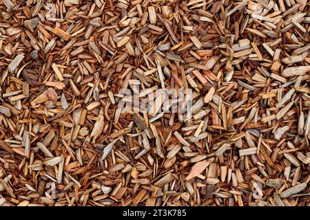 Full frame photo of wood chips on the ground. Stock Photo