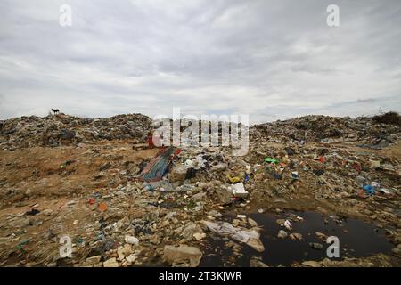 The decline of the world When there is too much garbage Stock Photo