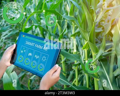 Smart Farming with IoT. Growing Corn Seedlings with Infographics. Smart Farming and Precision Agriculture 4.0, farmer hand holding tablet in corn fiel Stock Photo