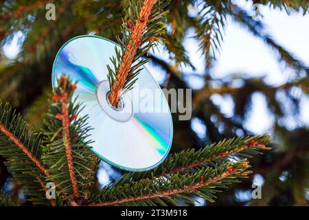 Compact disc is on a Christmas tree branch. Happy New Year music party background photo Stock Photo