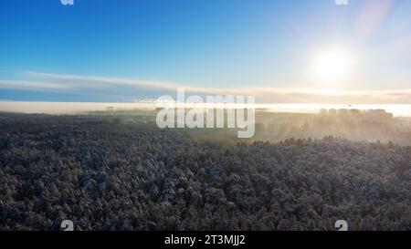 Aerial view on winter sunny forest and city in fog Stock Photo