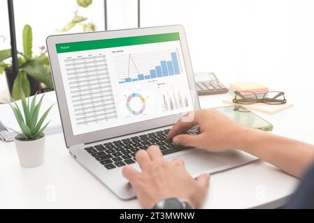 Analyzing data for marketing plan. Business analytics, spreadsheet app on laptop Stock Photo