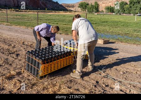 Technicians set up a battery of launchers for 4' pyrotechnic shells being prepared for a fireworks show in a field in Utah. Stock Photo