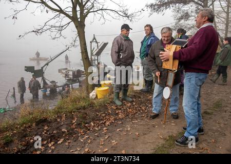 catch of the pond, fishermen process caught carp, the viewers at the catch of the pond, fun while fishing the pond Stock Photo