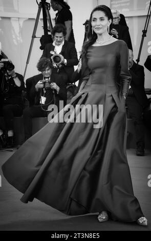 The actress Caterina Murino Stock Photo - Alamy