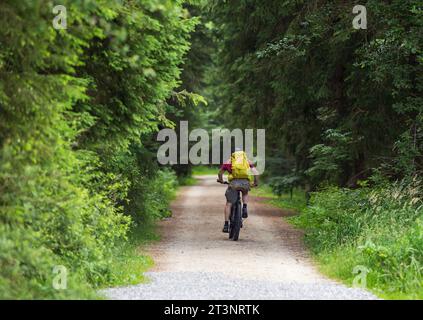 Rear view of senior man riding bike in forest in summer time. Healthy lifestyle outdoors concept Stock Photo