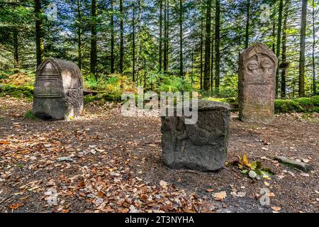 An upright funerary stele at the Celtic camp of La Bure a fortified high site bordering the Haute-Meurthe valley, Grand-East of France. Stock Photo