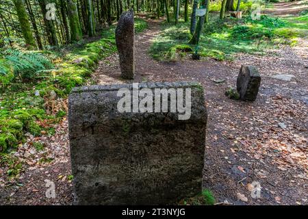 An upright funerary stele at the Celtic camp of La Bure a fortified high site bordering the Haute-Meurthe valley, Grand-East of France. Stock Photo