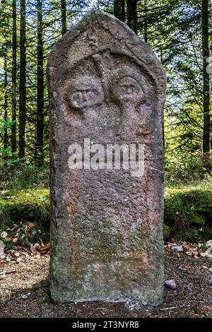 An upright funerary stele at the Celtic camp of La Bure a fortified high site bordering the Haute-Meurthe valley, Grand-East of France. Stock Photo